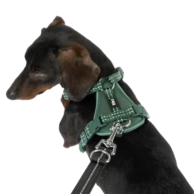 Neopren Hundesele - Billede 2